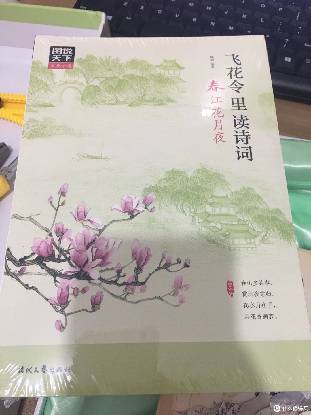 春的插画，又如人烟想入偏偏，远处亭台楼阁、拱桥春水，岸堤垂柳，一叶孤帆，无处藏鸭，近景寒梅盛大绽放，怜故人何在？情郎山高水长，佳人也不知今在何方，故有春江花月夜，唯独无人烟，美景凄凉。