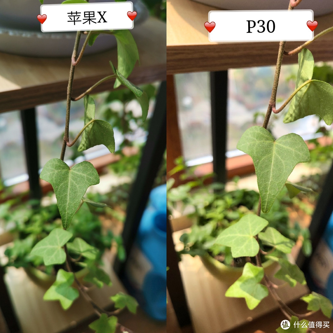 苹果色泽翠绿，P30光线偏亮