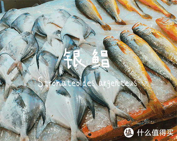 寻味台州海鲜：从菜市场吃到米其林