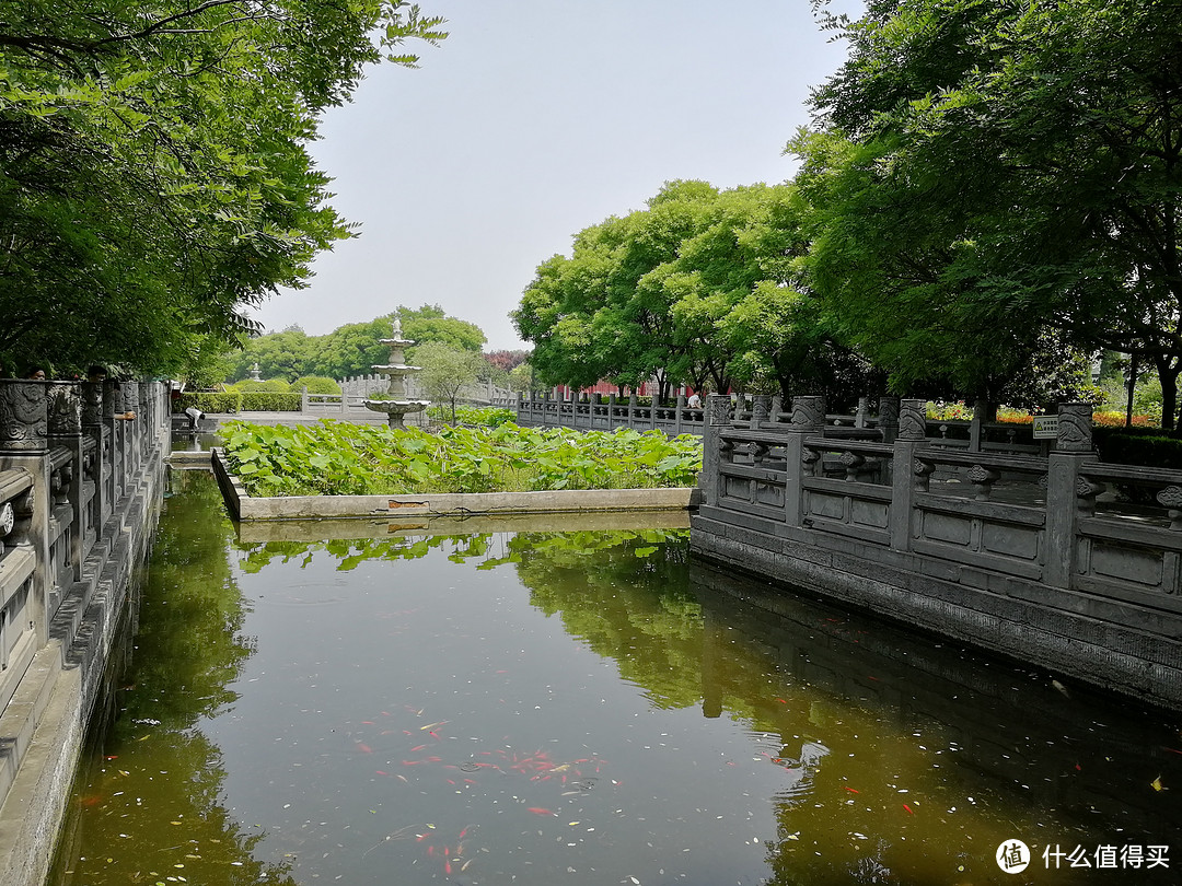 白马驮经至，佛理入中华--洛阳白马寺历行记