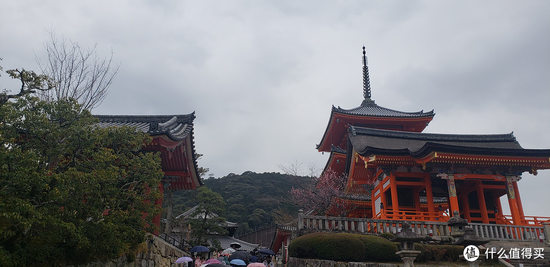 日本大阪-京都-东京-函馆-札幌11日游流水账~