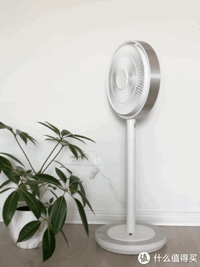 左右摇头75°