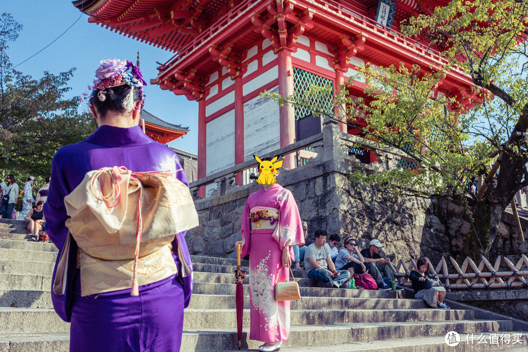 再访京都，稻荷山与花之绘姿