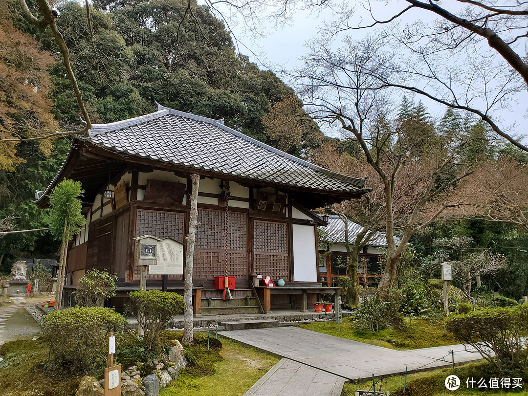 樱花季日本游（大阪一路玩到东京）——游侠客跟团体验