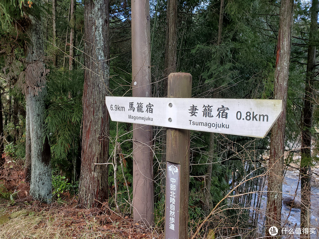 樱花季日本游（大阪一路玩到东京）——游侠客跟团体验