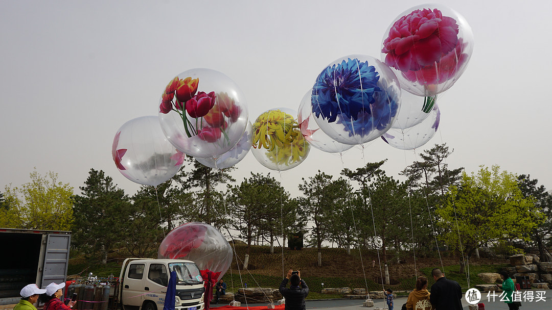 没有体力还真玩不转- 2019年中国北京世界园艺博览会（试运行）游记