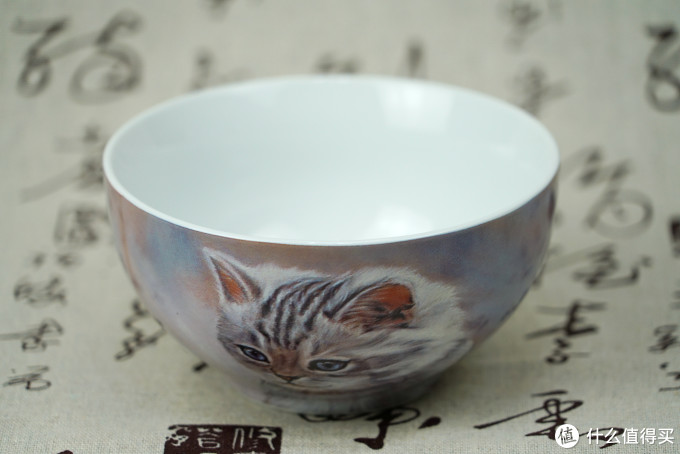 猫控的自我修养:被萌化了!这些年我写过的那些猫