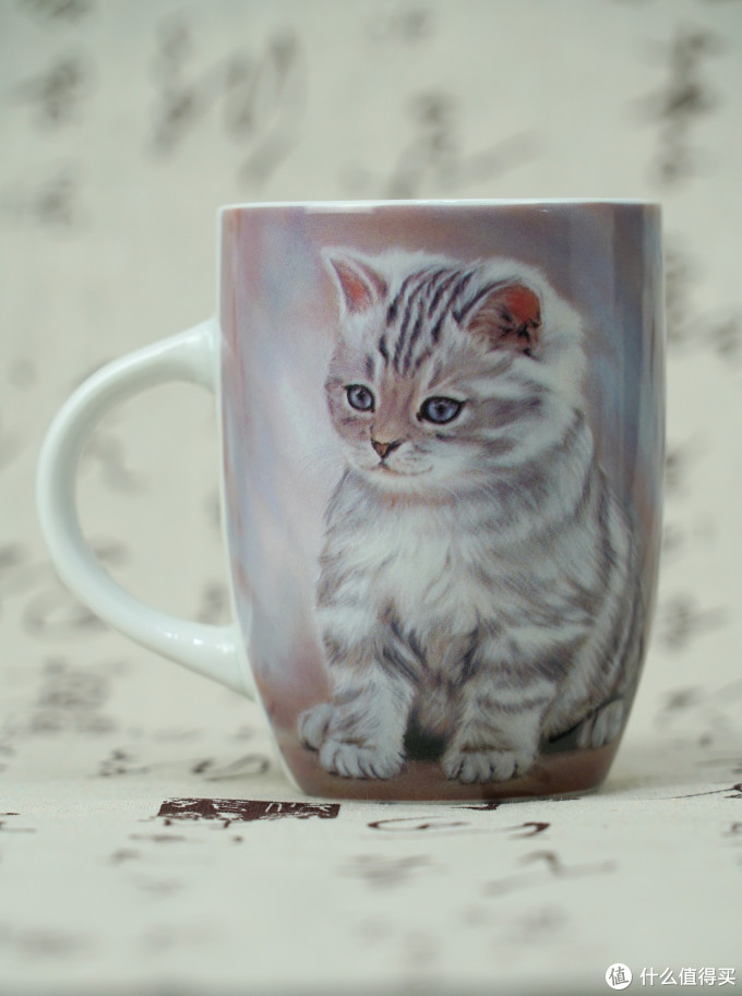 猫控的自我修养:被萌化了!这些年我写过的那些猫