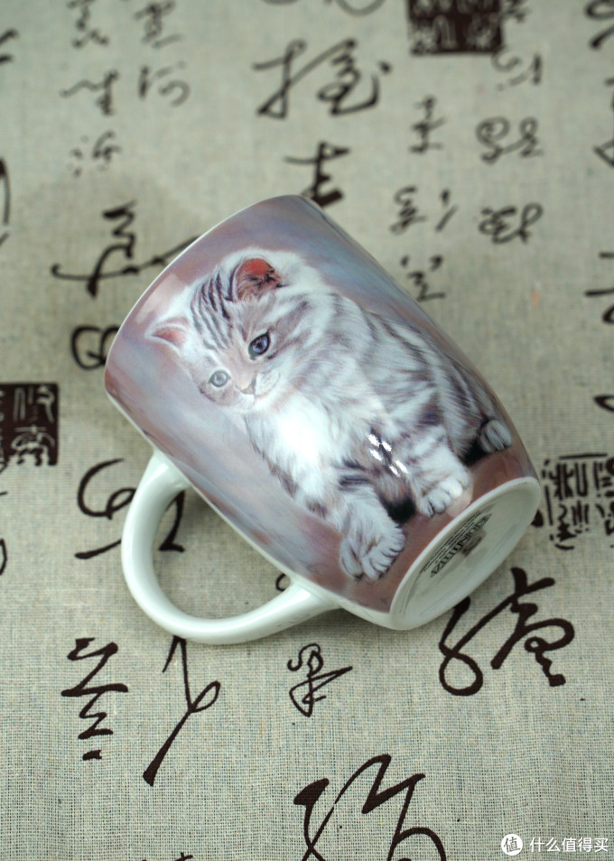 猫控的自我修养:被萌化了!这些年我写过的那些猫