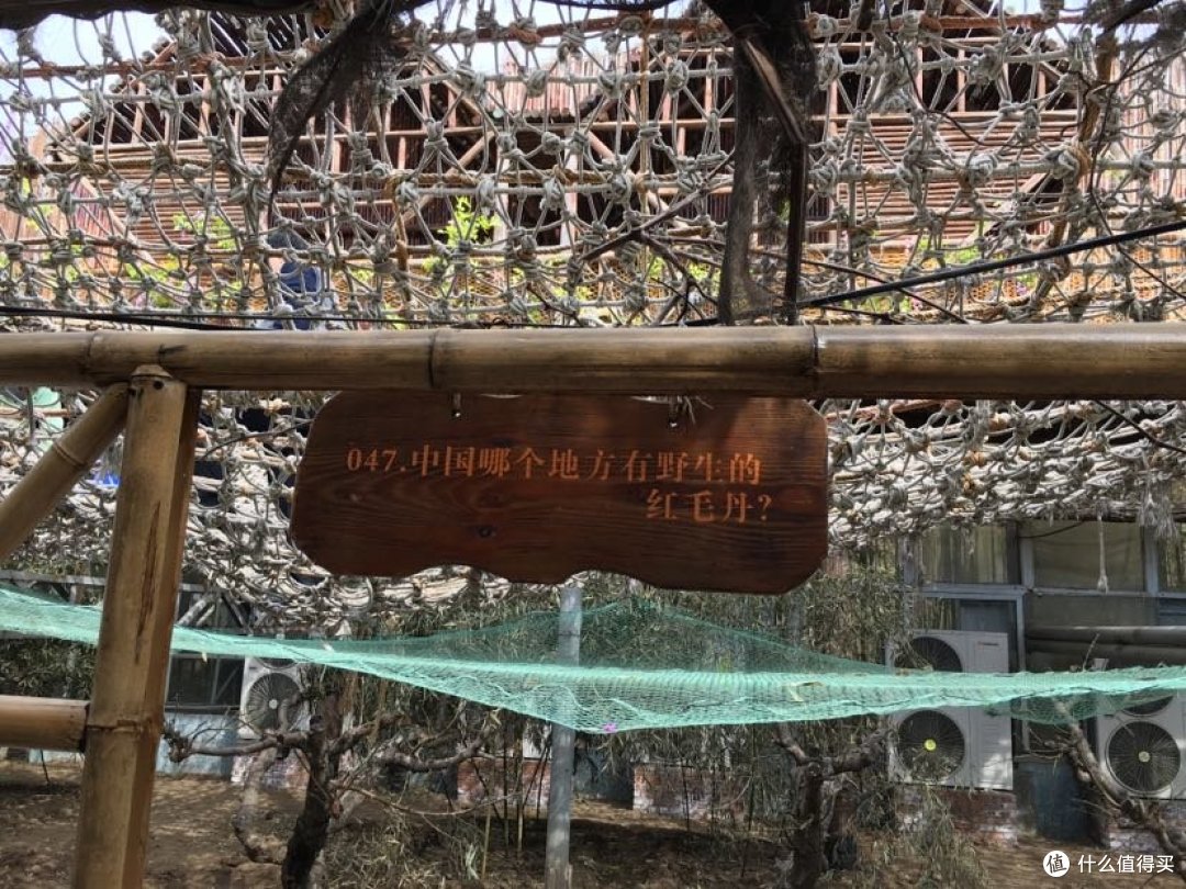 我爱你亲子之行-北京呀路古热带植物园