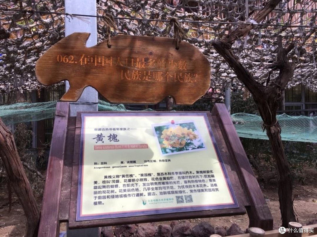 我爱你亲子之行-北京呀路古热带植物园