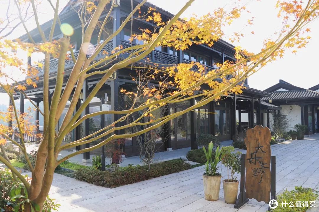 大乐之野桃花源,竟藏着陶渊明笔下的另一个平行世界