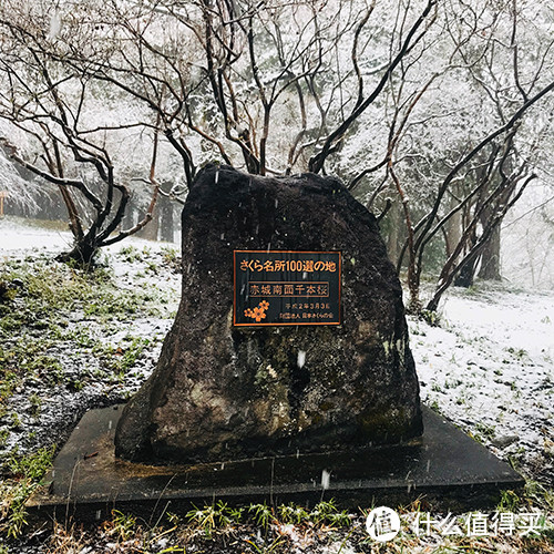 樱花百选 - 赤城南面千本樱