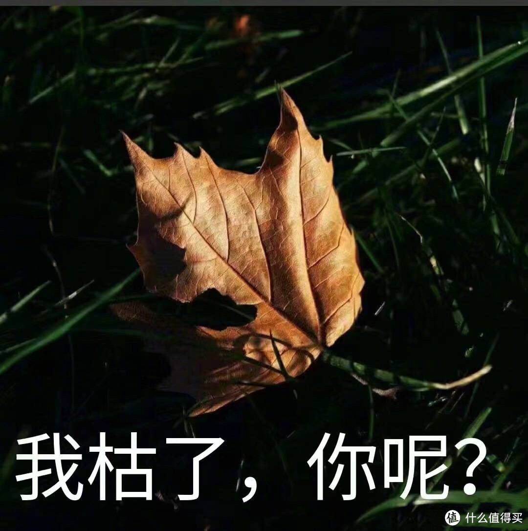 哪个平台买手机最实惠？想不到居然是它......