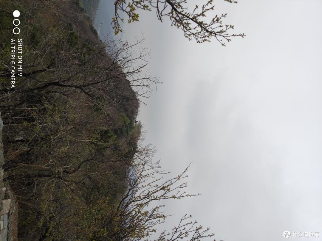 同样小米9的表现