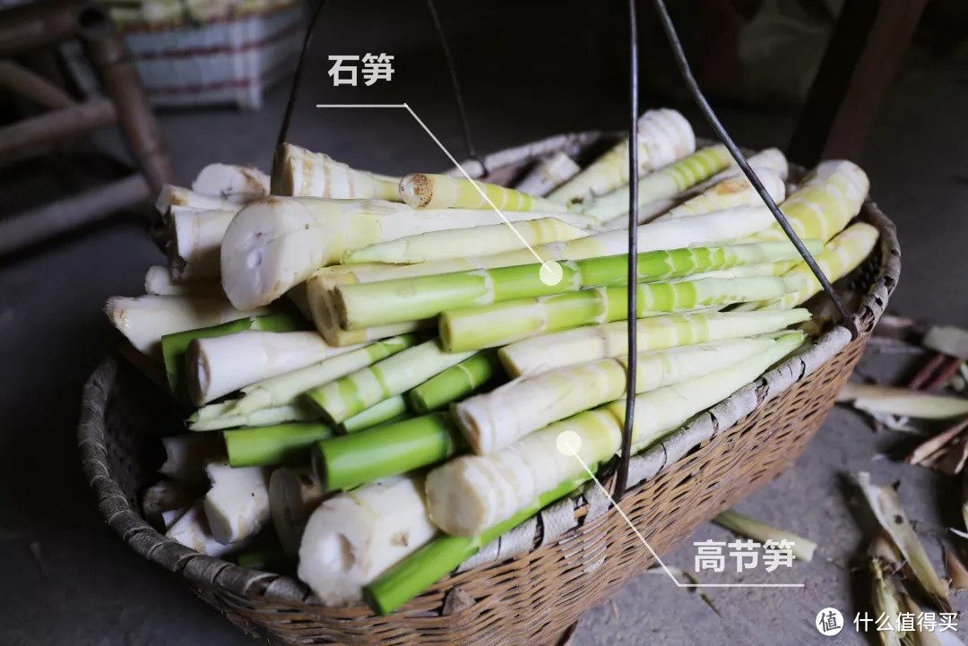 每年春末最期盼的,就是这把鲜香脆嫩的农家炭烘野笋干!