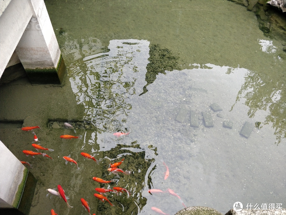 烟雨江南千年古城-盐官