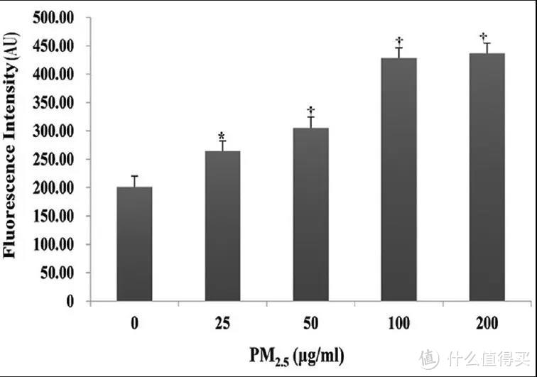 PM2.5诱导活性氧产生