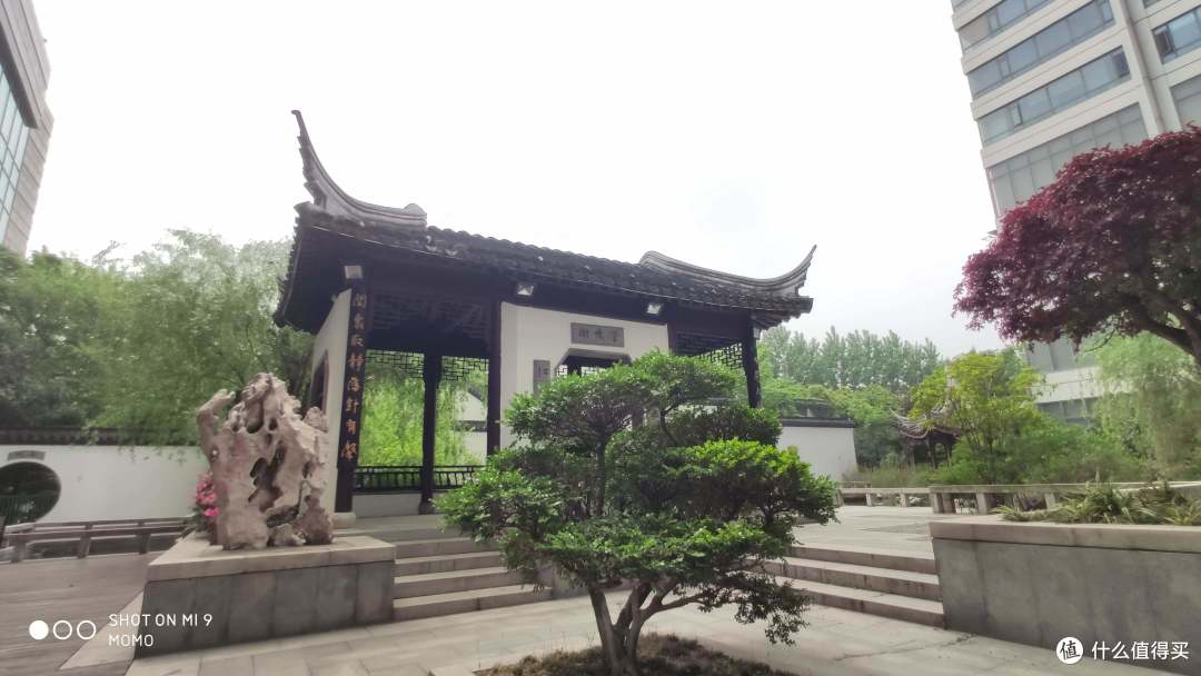随便拍拍
