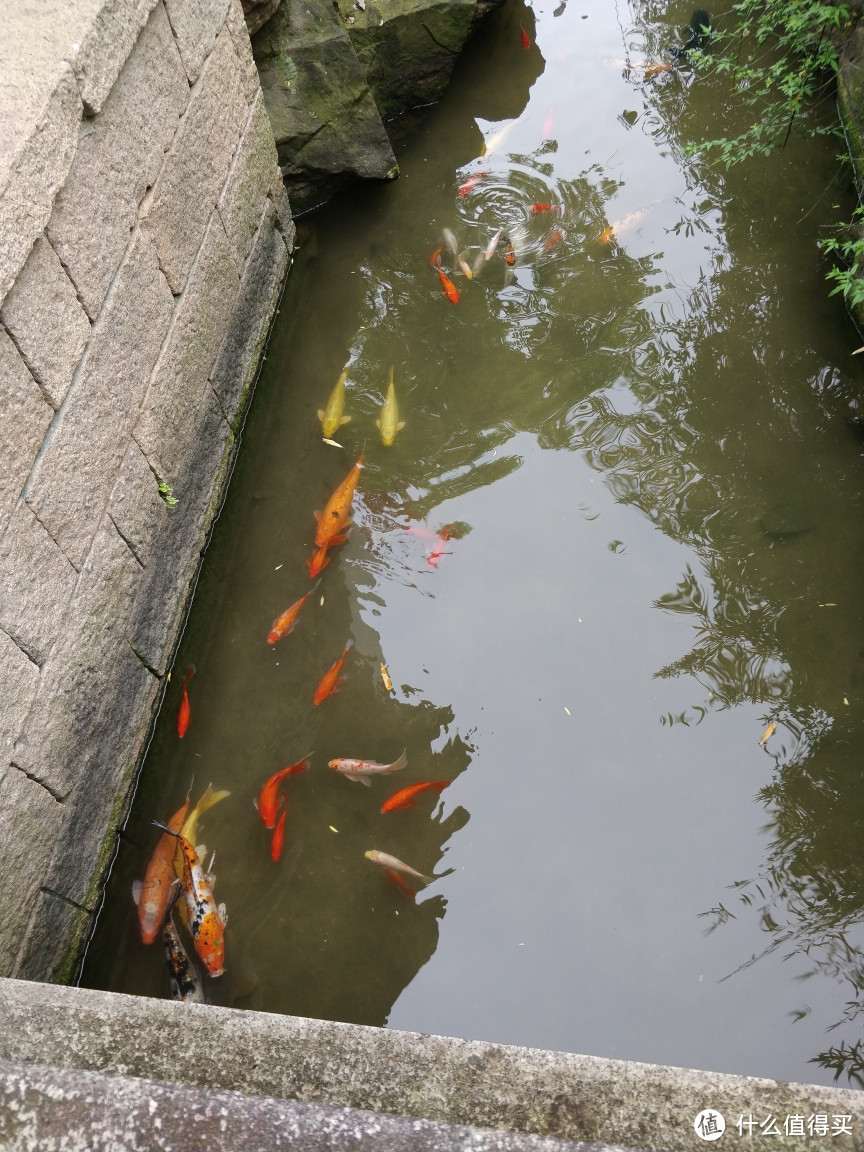 烟雨江南千年古城-盐官