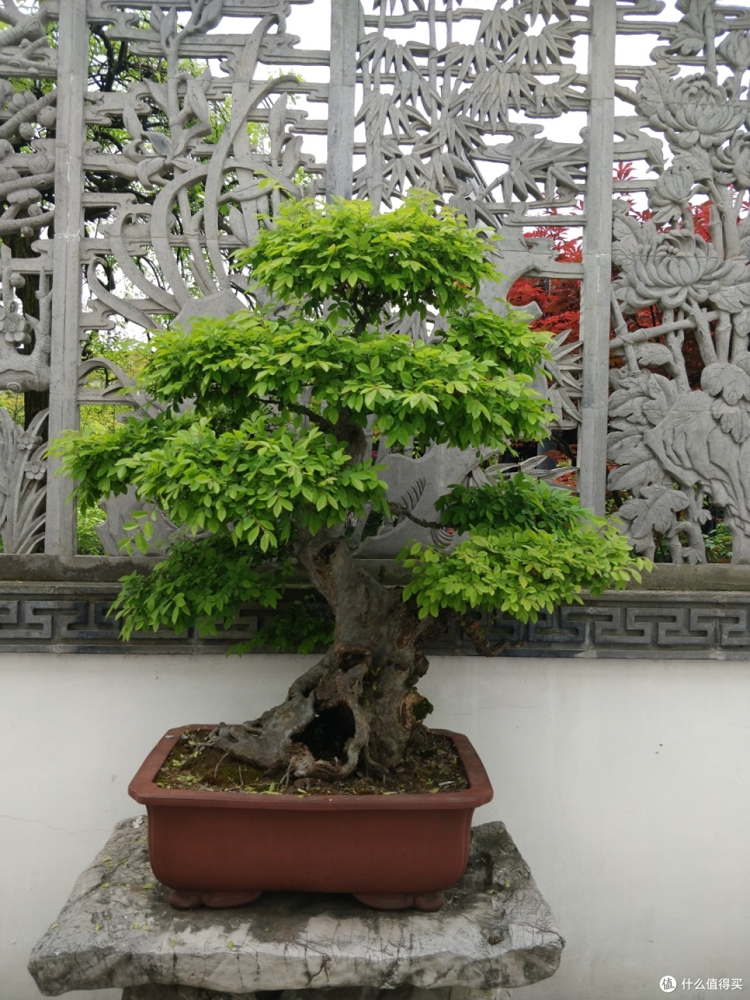 烟雨江南千年古城-盐官