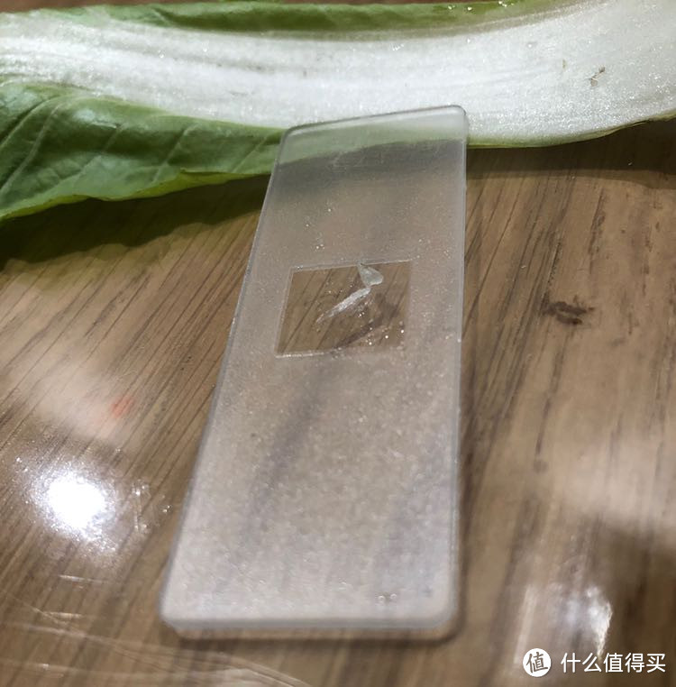 青菜表皮直接剝了放在载玻片上