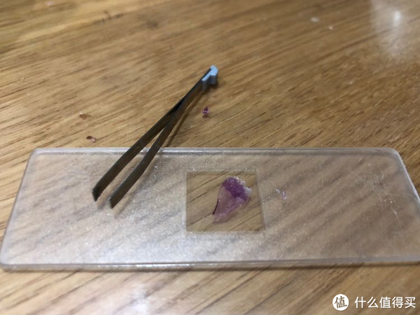 花了5分钟剝下来一片薄薄的表皮