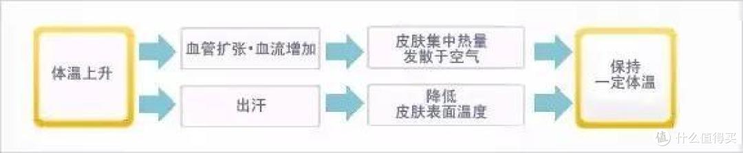 刘涛、蒋欣都在用,半小时瘦1斤,这件超强减肥暴汗服,真的有效吗?