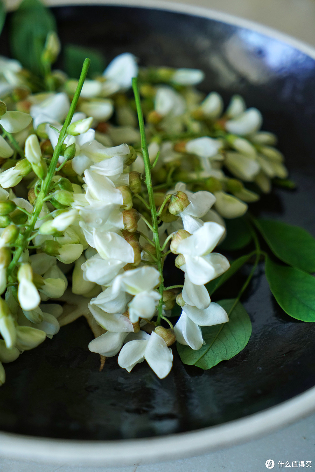 不时不食 “旬”野菜 —— 槐花槐叶篇