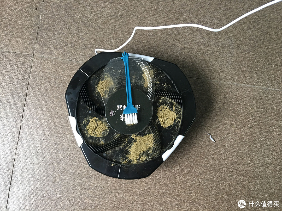 白菜价入的捕蝇神器轻晒单，真的有用吗。