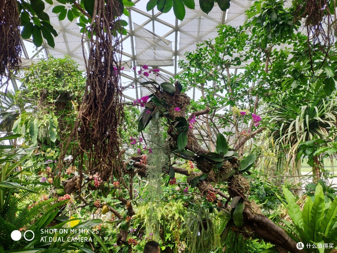 植物爱好者天堂&溜娃圣地——辰山植物园