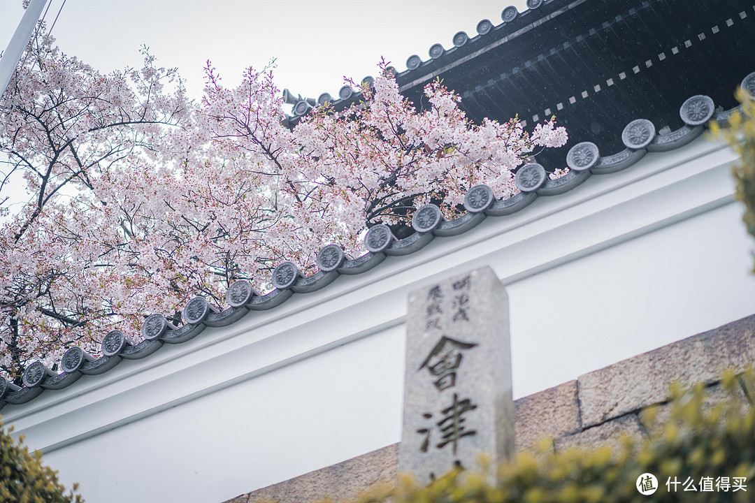 【多图预警】平成年最后一次樱花盛开！赏樱购物旅拍全记录，关西五日自由行~