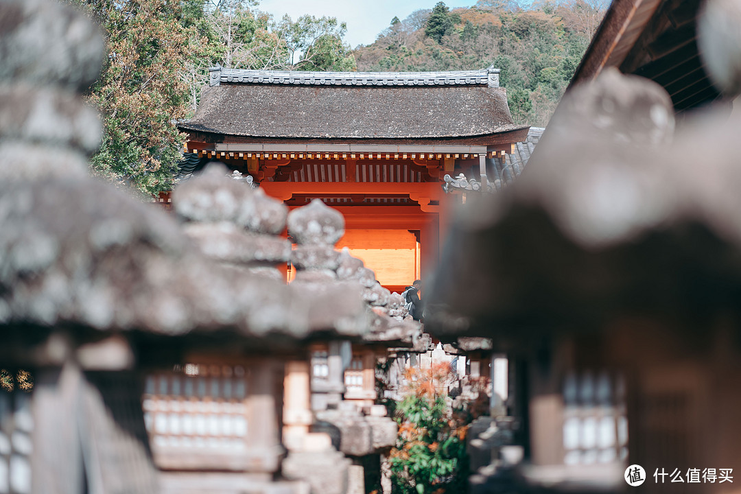 【多图预警】平成年最后一次樱花盛开！赏樱购物旅拍全记录，关西五日自由行~