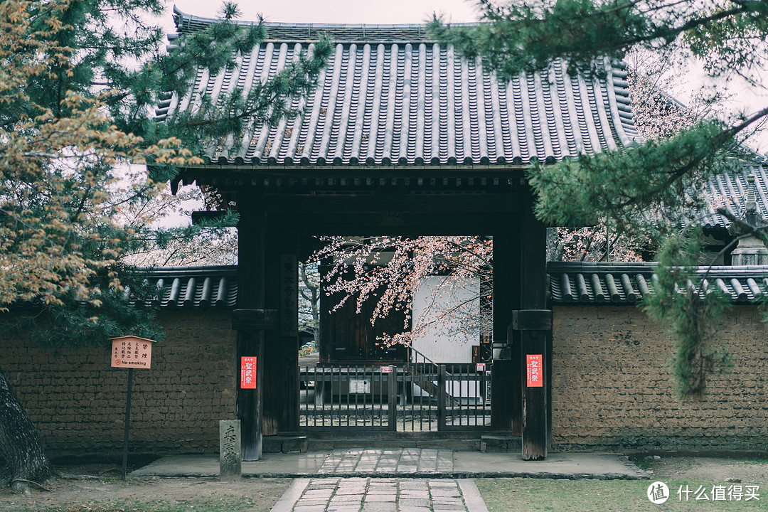 【多图预警】平成年最后一次樱花盛开！赏樱购物旅拍全记录，关西五日自由行~