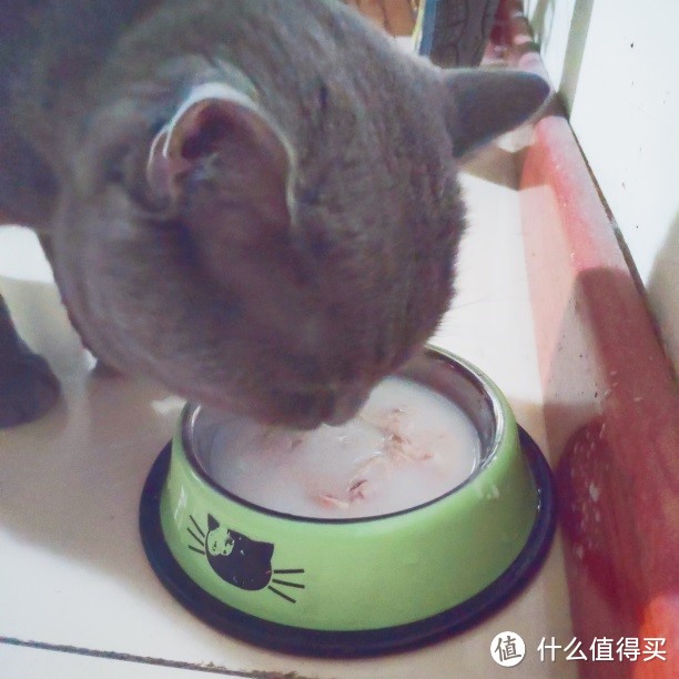 舔食