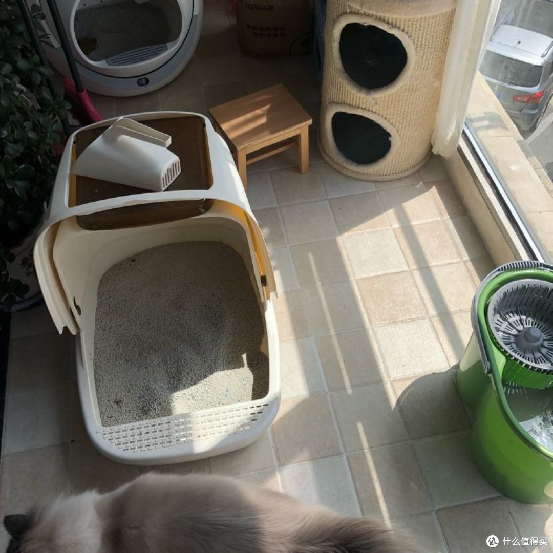 新老猫砂盆交接