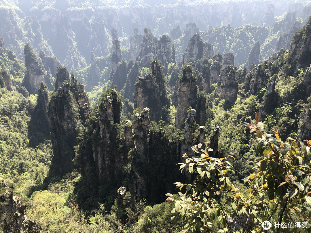 张家界云青岩图片