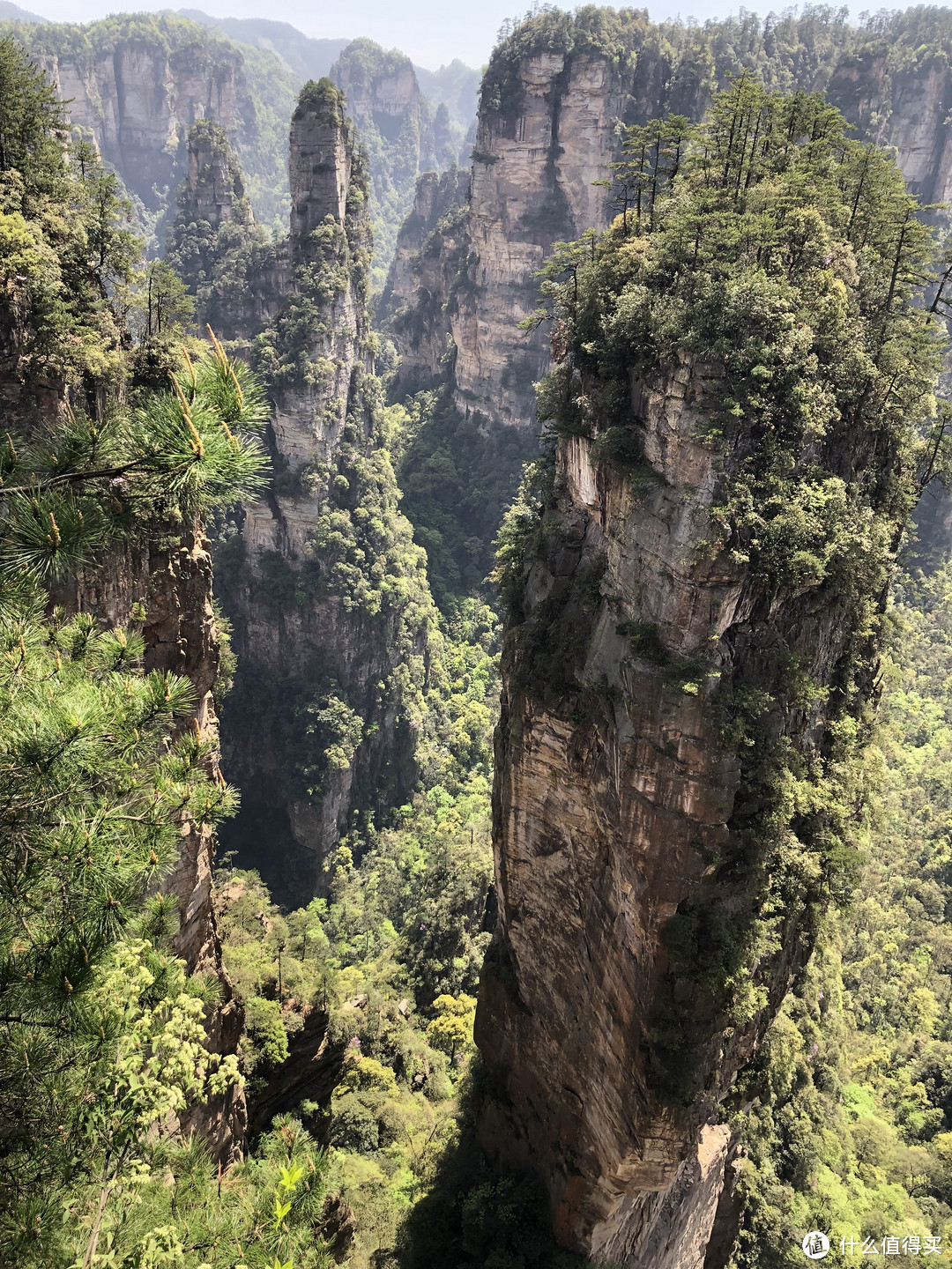 乾坤柱,阿凡达悬浮山取景原型