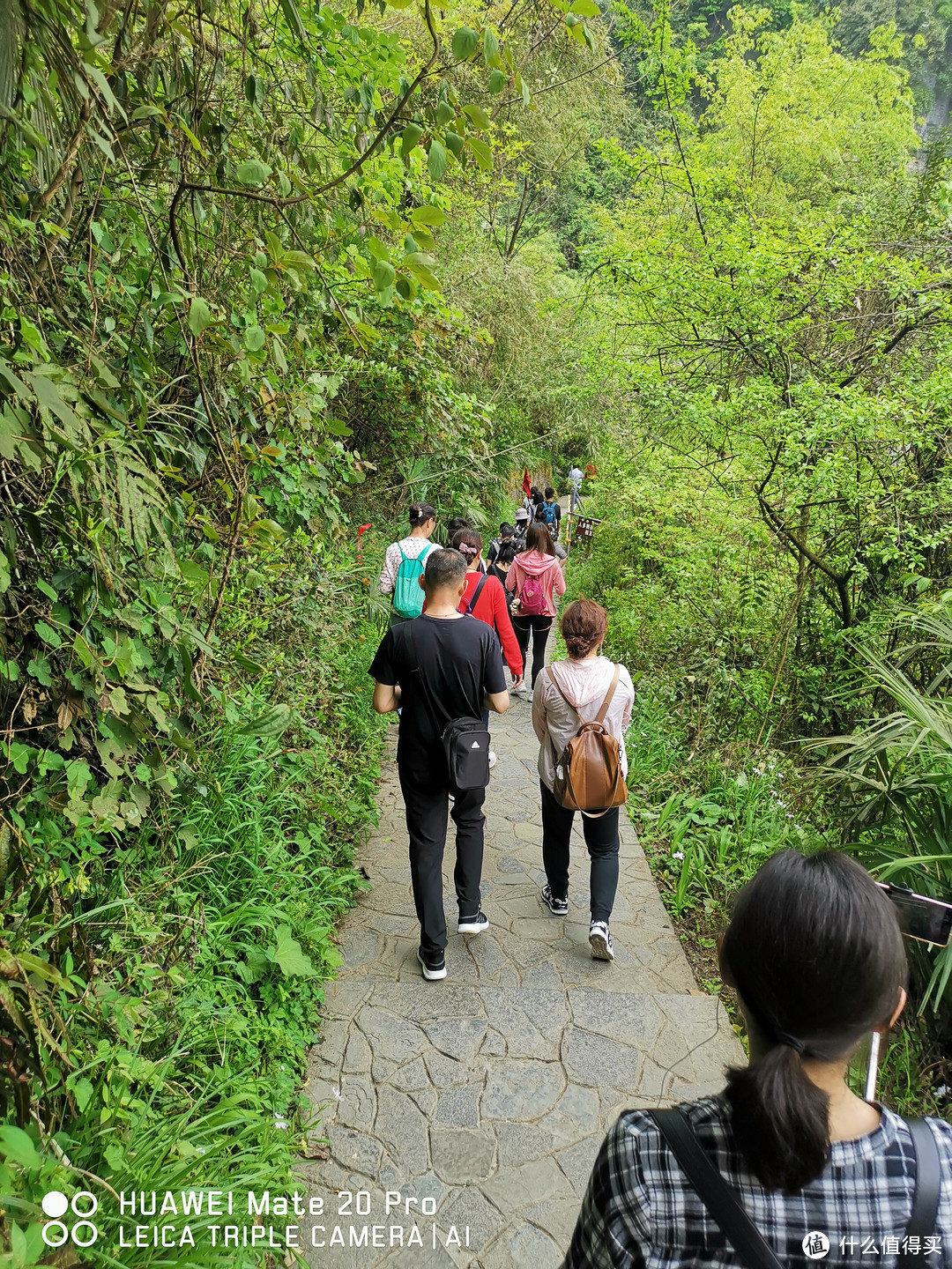 带舌尖来场旅行丨重庆武隆4天3夜自由行全攻略