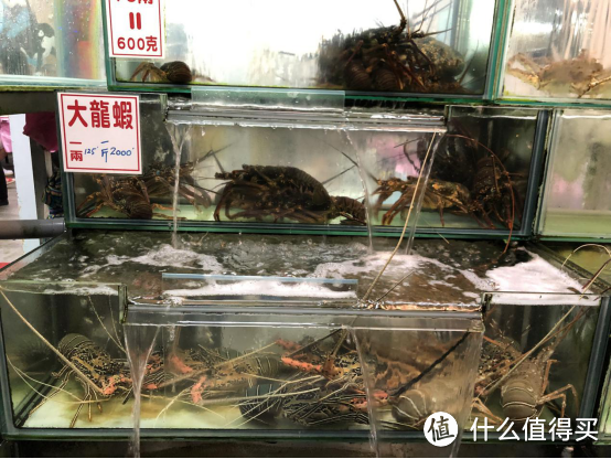 2019春节两天垦丁景区饭店民宿路线美景超详细攻略(多高清美图预警)