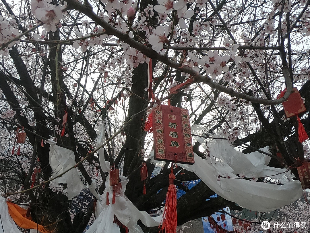 游西藏十二天，未知即风景。穿越四季的高原，心心念念皆往之（大量动图）