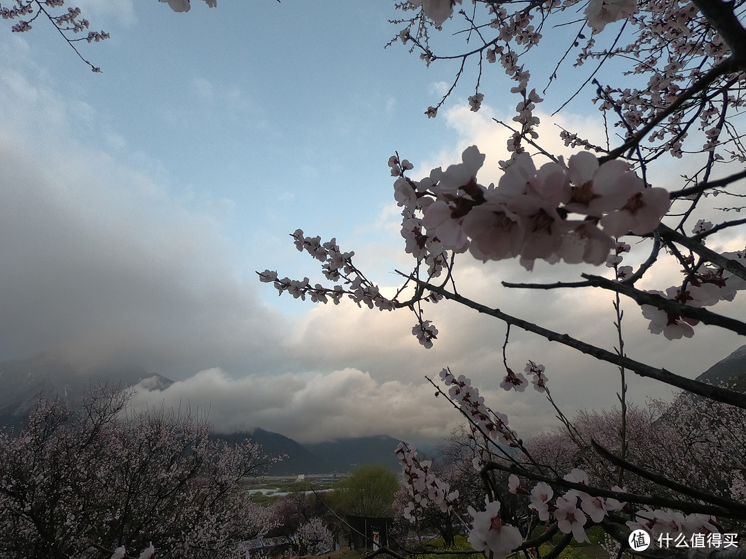 游西藏十二天，未知即风景。穿越四季的高原，心心念念皆往之（大量动图）