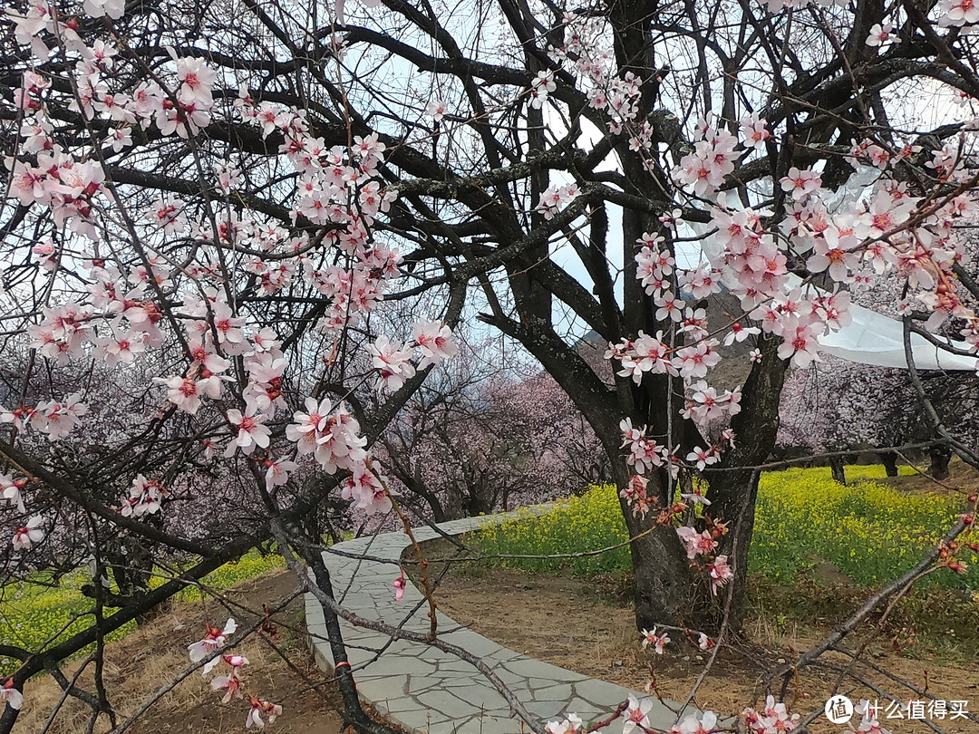 游西藏十二天，未知即风景。穿越四季的高原，心心念念皆往之（大量动图）