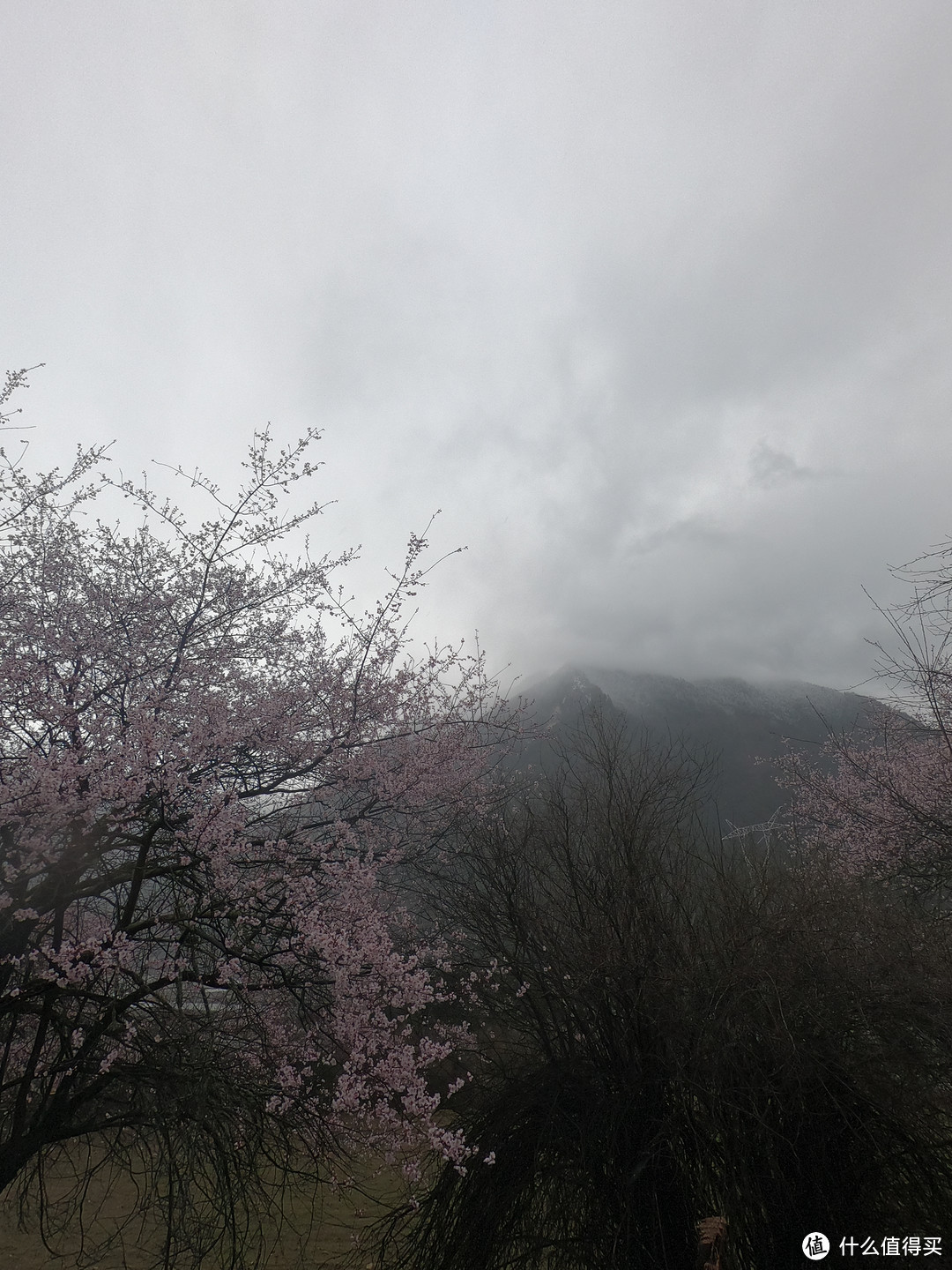 游西藏十二天，未知即风景。穿越四季的高原，心心念念皆往之（大量动图）