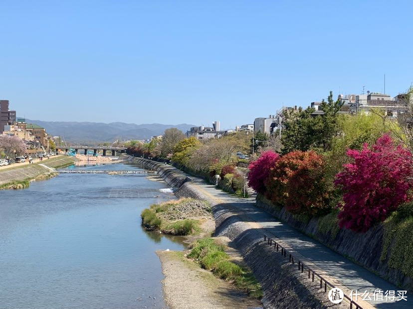 一个人溜达日本流水账D5 koe donuts西大寺