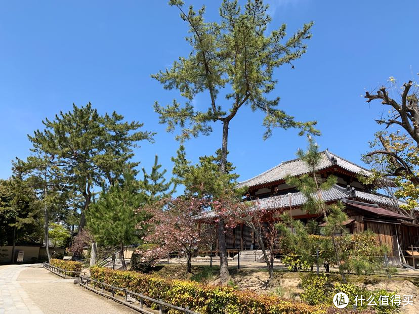 一个人溜达日本流水账D5 koe donuts西大寺