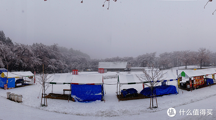 今年飘雪正春天：日本东北赏樱混浴温泉之旅