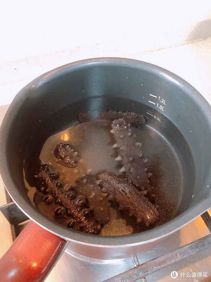 清洗后的干海参放入纯净水中开煮