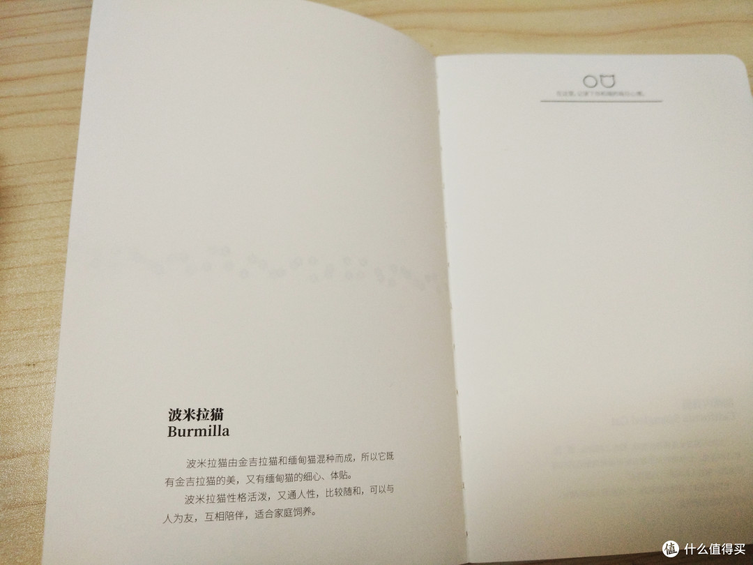 手账小白入坑分享——有哪些值得入手的笔记本?