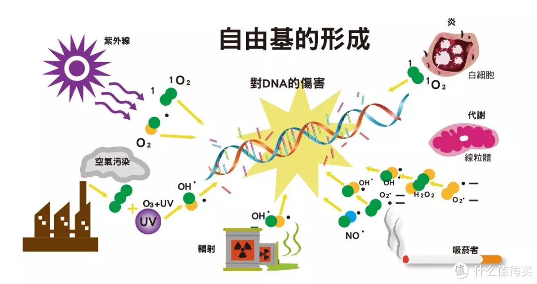 比神仙水更有效的冻龄神器，竟然就在你身边？